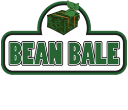 Bean Bale